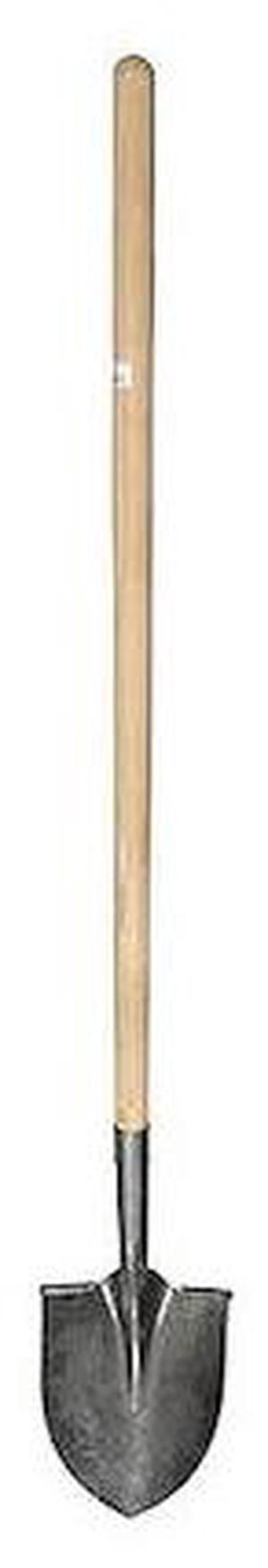 JONES STEPHENS S49431 Economy Shovel, 46-1/2 in L Wood Handle