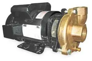DAYTON 2ZWT6 Bronze/Brass 3 HP Centrifugal Pump 230V