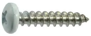 MIDWEST FASTENER 09089 Sheet Metal Screw, #10 x 1 in, Painted 18-8 Stainless