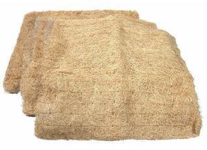 CHAMPION COOLER 310085-10 Asrtd Size Aspen Pads,2,for WC44/N44W