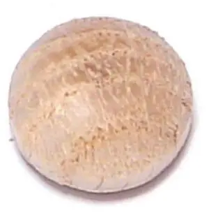 MIDWEST FASTENER 08937 3/8" Oak Wood Round Head Screw Hole Buttons 100PK
