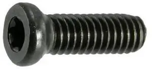 MIDWEST FASTENER 32975 #6-40 x 3/8 in Torx Oval Machine Screw, Black Oxide