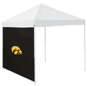 LOGO BRANDS 155-48 Iowa Black 9 x 9 Side Panel