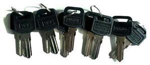GLOBAL INDUSTRIAL RP9063 Key Blanks, For Use with  Cell Phone Lockers, 10PK