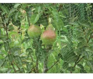 TENAX 2A090071 Ortoflex Bird Netting