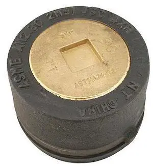 JONES STEPHENS C36134 Cast Iron, Plug: Countersunk, Cleanout with Gasket