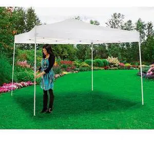 GLOBAL INDUSTRIAL 602191WH Portable Pop Up Canopy, Straight Leg, 10'L X 10'W X