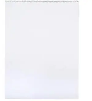 SCHOOL SMART PRWC07414-5987 PAPER CHART 24X32 UNRULED 25 SHTS