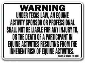 SIGNMISSION WS-D-1014-Texas 14 in Height, Vinyl, 14" x 10", WS-D-1014-Texas