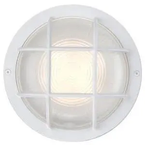 WESTINGHOUSE 6113900 Fixture Wall Outdoor LED Dimmable 12W Round Sconce,