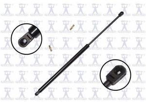FCS STRUTS 84779 Lift Support Hatch, 84779