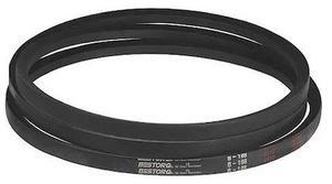 CHAMPION COOLER 110219 110219 Belt