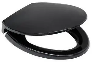 SS114-51 SoftClose Elongated Polypropylene Closed Front Toilet Seat & Cover (Ebony)
