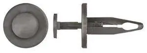 ZORO SELECT 9369PK Push-In Rivet, Dome Head, 1/4 in Dia., 29/32 in L, Nylon