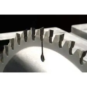 RICHELIEU 416451 12-inch (305 mm) Carbide Tooth Circular Miter Saw Blade RICHELIEU 416451 12-inch (305 mm) Carbide Tooth Circular Miter Saw Blade