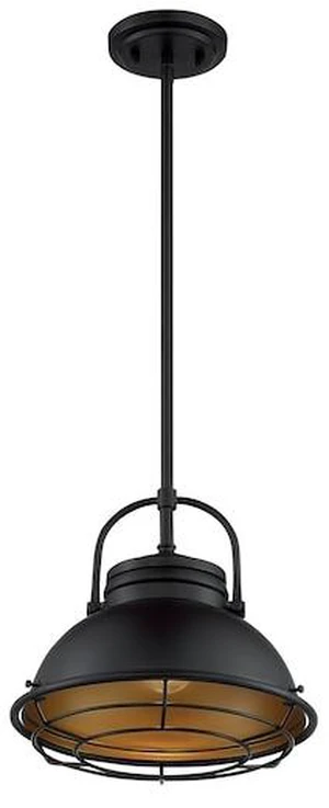 NUVO 60/7074 Fixture, Pendant, 1-Light, Incandescent, 60W, 120V, A19, Medium NUVO 60/7074 Fixture, Pendant, 1-Light, Incandescent, 60W, 120V, A19, Medium