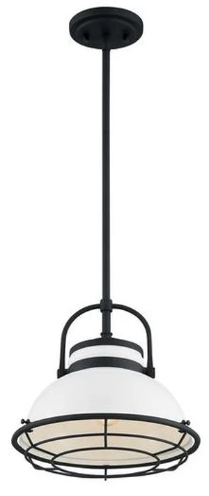 NUVO 60/7084 Fixture, Pendant, 1-Light, Incandescent, 60W, 120V, A19, Medium NUVO 60/7084 Fixture, Pendant, 1-Light, Incandescent, 60W, 120V, A19, Medium
