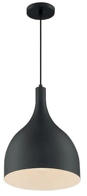 NUVO 60/7087 Fixture, Pendant, 1-Light, Incandescent, 100W, 120V, A19, Medium NUVO 60/7087 Fixture, Pendant, 1-Light, Incandescent, 100W, 120V, A19, Medium