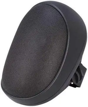 SPECO TECHNOLOGIES SP4AWET Speaker,Indoor/Outdoor,9-1/2 In.
