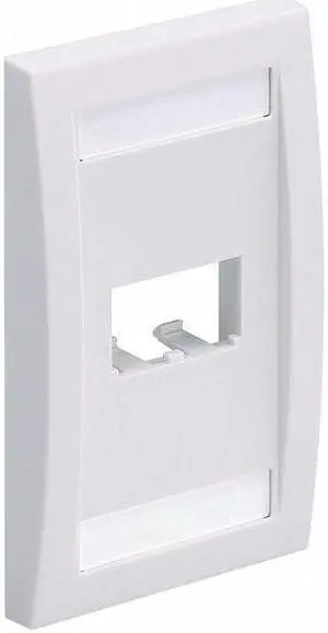Panduit Wall Plate,Single Gang,2 Ports,Ivory  CFPE2EIY