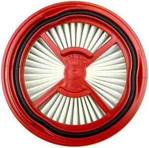 Bissell Pleated Circluar & Foam Filter Pack-Red Berends #1250