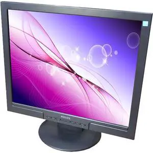 Philips 170S 1280 x 768 Resolution 17" LCD Flat Panel Computer Monitor Display