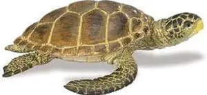 Safari 220229 Loggerhead Turtle Animal Figure