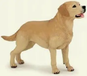 Labrador Retriever - Play Animal Figure by Papo Figures (54029)