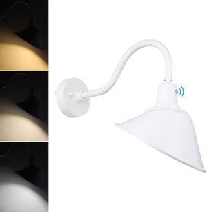 3CCT LED Dusk-to-Dawn Gooseneck Barn Light, 21W 3300lm, 120-277V, IP65, UL Listed, White