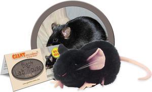 GIANTmicrobes Black Lab Mouse  Learn about Nature and Science with this Lab Research Animal, Memorable Gift for Lab Workers, Scientists, Students and Anyone with a Healthy Sense of Humor