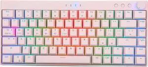 Septpenta Mechanical Keyboard, 82 Key Layout, Supports Wireless 2.4G/BT 3.0/5.0/Type C Wired 3 Modes, RGB Dynamic Backlight, Portable Wired Keyboard for Games, Work, Daily(Green Shaft)