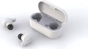 Gabba Goods Wireless Earbuds: Pristine Sound, Bluetooth 5.0, Compact Charge Case, Sweat-Proof, Noise-Cancel, On-Ear Controls for Sports & Daily Use