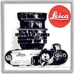 Stupell Industries Vintage Camera Ad Gray Framed Giclee Art Design by Peter Horjus
