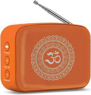 Carvaan Saregama Mini Bluetooth Speaker (Bhakti, Orange)