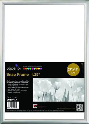 Snap Frame  27 x 41  silver