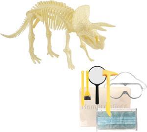 STEAM Education - HamiltonBuhl Paleo Hunter Dig Kit - Triceratops Rex