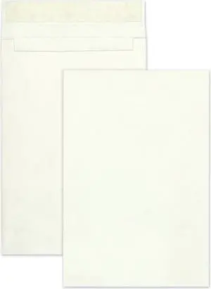 Survivor Open End Expansion Mailers Made of DuPont Tyvek ,ENVELOPE,12X16X2,25/BX,WE