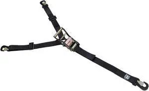 Horizontal Tire Ratcheting Y Tie-Down Strap Bulldog Winch