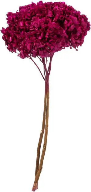 15" Merlot Hydrangea Stem