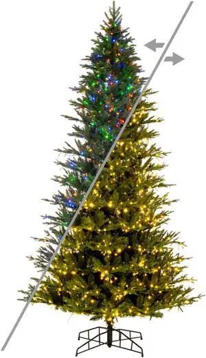 9' x 57" Kamas Fraser 3mm LED 1700CC
