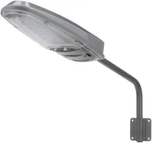 Yard Light w/2 Mounting Options (Mounting Arm or Direct to Wall)