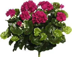 Vickerman 17.5" Purple Geranium Bush - FL170401