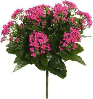 Vickerman 15" Hot Pink Kalanchoe Bush - FL170204
