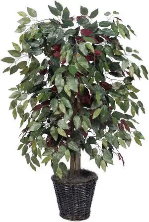 Vickerman 4' Capensia Bush - TBU0340