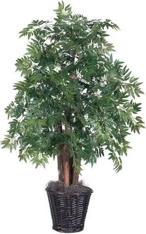 Vickerman 4' Ming Aralia Bush - TBU0640