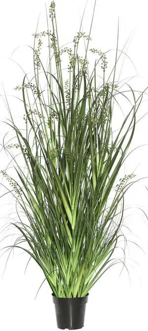 Vickerman 48" Green Sheep's Grass in Pot - TN171248