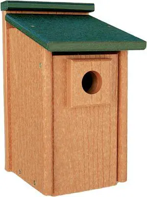 Going Green Bluebird House