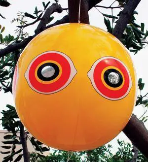 SCARE EYE BALLOON (Pack of 1)