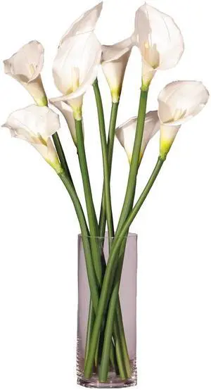 Vickerman White Callas Lily's in Glass Cylinder - F11102