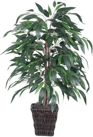 Vickerman 4' Mango Bush in Square Willow Container - TBU2840-0414 Vickerman 4' Mango Bush in Square Willow Container - TBU2840-0414